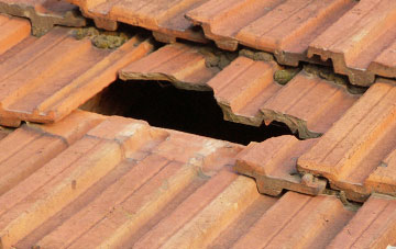 roof repair Peniel